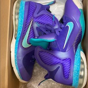Lebron 9s hornets